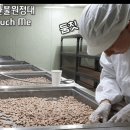 지리산 굼벵이 이미지