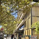 스테이 마지 | 호주 퍼스(Perth) '호스텔G' ㅣ 4박5일 솔직후기