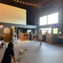 멍스 크로스 이미지