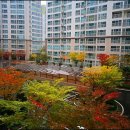 하이츠부동산공인중개사사무소 이미지