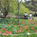 로즈마리 펜션 이미지