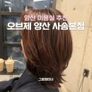 티나네강아지미용실 | 양산 미용실추천 오브제 사송본점 케라틴 밀본케어