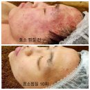 금화효소원 - 제주시 월랑북길 1-10 | 금화효소원