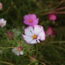 원전 약수터 이미지