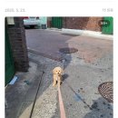 주짓수락 | 길었던 여정의 끝 마지막 블챌