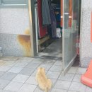 일산수산물판매센터입구 네이버블로그