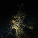 남해-267 이미지