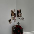 광임 | 동대문렌탈스튜디오 자연광이 예쁜 모즈스튜디오 대관후기