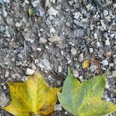 학일마을 이미지