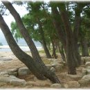 신후농장 이미지