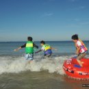 대천해수욕장 이미지