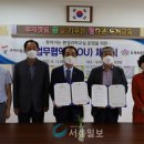 도개초교 이미지