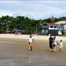 변산해수욕장 티스토리