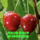 화성-향남-향남 8호 이미지