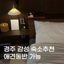 [내돈내산]경주 불국사 근처 감성 숙소 추천! &#39;플랜비 펜션&#39; 숙박 후기 애견동반가능 숙소