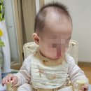엄마의식탁 | 아기 접이식 캠핑의자 후기! 식탁까지 있어 활용도 최고