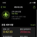 다움핏 이미지