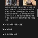 벌쓰디자인 | 로마 바티칸 전망대 후기 :: 성베드로대성당 쿠폴라 돔 예약방법/입장료/리프트타는 법/유의사항 등✨