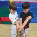 용인대명인태권도장 이미지