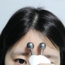 미미봉