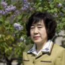 선몰 이미지