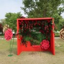 곡성-208 이미지