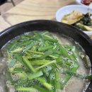 뚝방다슬기추어탕 | 진주 문산 맛집 뚝방다슬기 추어탕