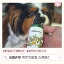 아마존펫 | 강아지진드기스프레이 추천, 산책 후 꼭 쓰게 되는 아마존펫 틱프리 미스트 후기