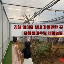 우림농장 | 김해 아이와 실내 가볼만한 곳 김해 열대우림 체험농장