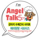 해피팡팡 이미지