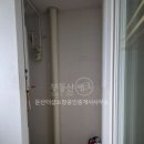 소망 공인중개사사무소 이미지