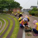 신평2동-6 이미지