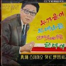 스테레오포닉