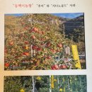 백이농장 네이버블로그
