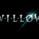 윌로우
