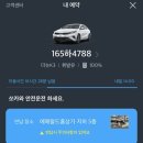 웰컴독애견펜션 이미지