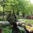 대구수목원 이미지