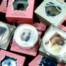 엘피코리아 이미지