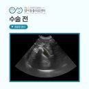 칠곡종합동물병원 이미지