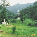 화노