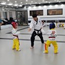 태권도평원도장 이미지