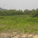 석창농장 이미지