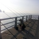 한작대기 이미지