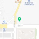 스팀닥터태림