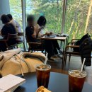 [양양 하조대 카페] 책읽고 쉬기 좋은 카페로그 내돈내산 솔직후기