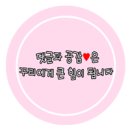 정필참치 이미지