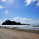 대천 태양광발전소 이미지