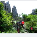 땅끝천년숲옛길 이미지