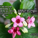 PICTURE&TEXT_20230528_사도행전 4장 13절_성령님으로 전설이 되라_성령강림주일 묵상_병꽃나무_꽃말 '전설'_우리 교회 이미지