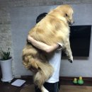 지세포주유소 이미지